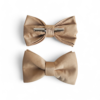 Clip-on Bowtie