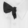 Clip-on Bowtie