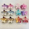 Double Colors Claw Clip