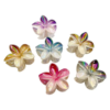 Double Colors Claw Clip