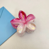 Double Colors Claw Clip