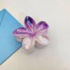 Double Colors Claw Clip