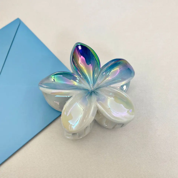 Double Colors Claw Clip