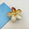Double Colors Claw Clip