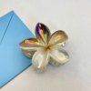 Double Colors Claw Clip