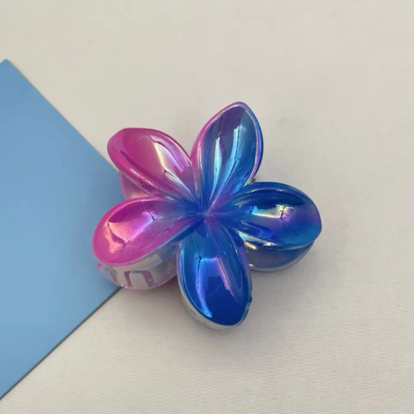 Double Colors Claw Clip