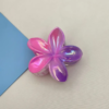 Double Colors Claw Clip