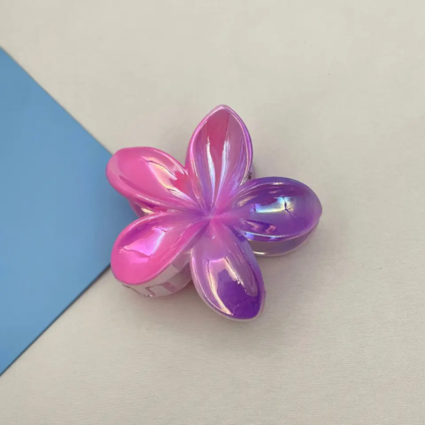 Double Colors Claw Clip