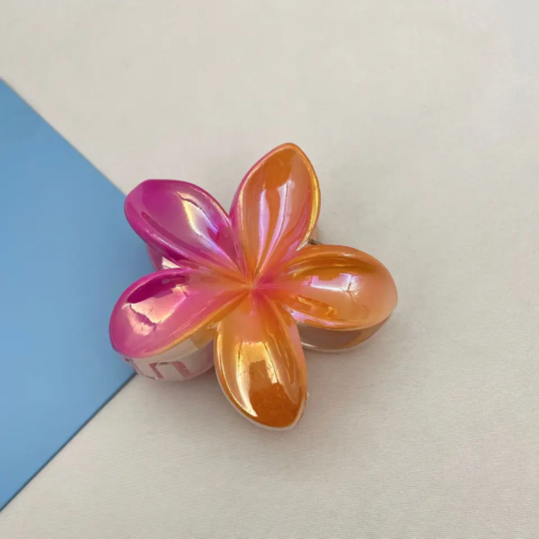 Double Colors Claw Clip