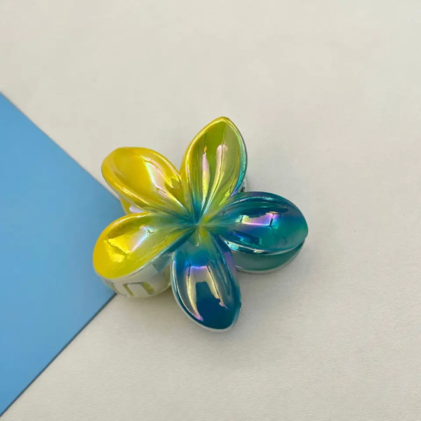 Double Colors Claw Clip