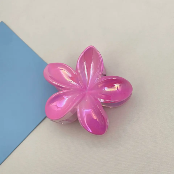 Double Colors Claw Clip