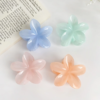 Candy Jelly Claw Clip