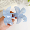 Candy Jelly Claw Clip