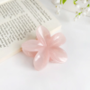 Candy Jelly Claw Clip