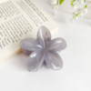 Candy Jelly Claw Clip