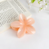 Candy Jelly Claw Clip