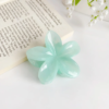 Candy Jelly Claw Clip