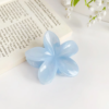 Candy Jelly Claw Clip