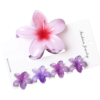 5 pieces Claw Clip Set