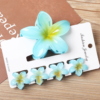 5 pieces Claw Clip Set