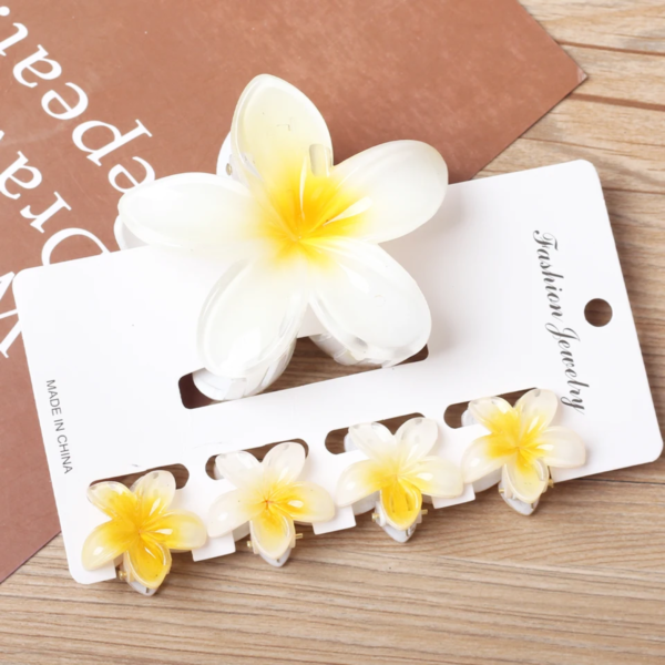 5 pieces Claw Clip Set
