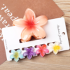 5 pieces Claw Clip Set