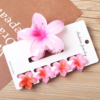 5 pieces Claw Clip Set