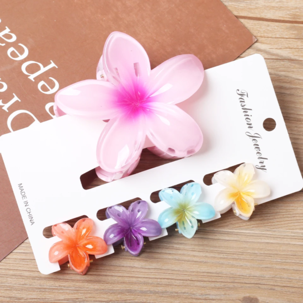 5 pieces Claw Clip Set