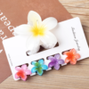 5 pieces Claw Clip Set