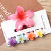 5 pieces Claw Clip Set