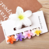 5 pieces Claw Clip Set