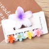 5 pieces Claw Clip Set