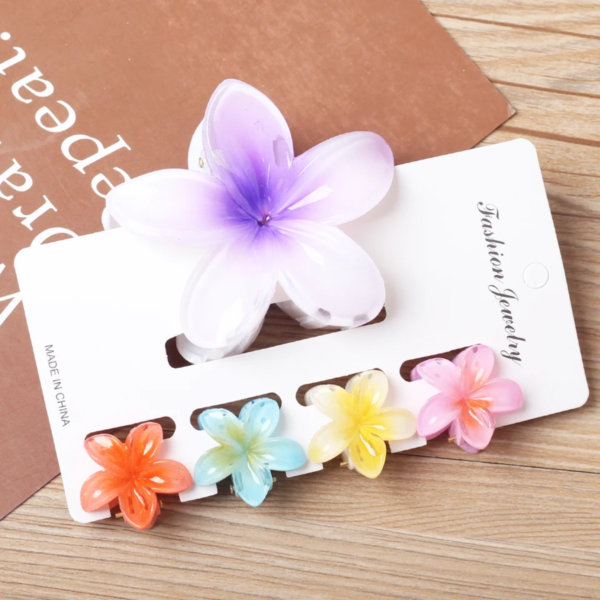 5 pieces Claw Clip Set