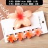 5 pieces Claw Clip Set