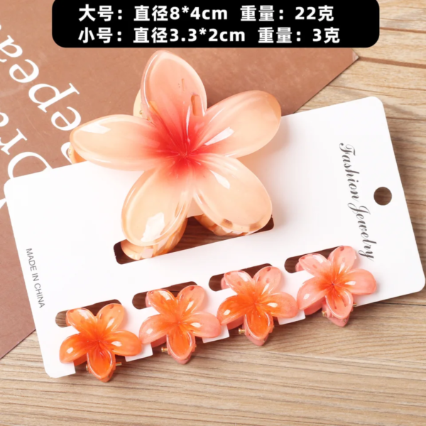 5 pieces Claw Clip Set