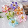 Flower Clip
