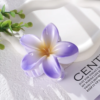 Flower Clip