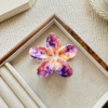 Gradient Claw Clip