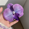 Iris Flower
