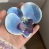 Iris Flower