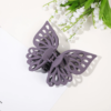 Large Butterfly Claw Clip