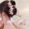 Elegant Claw Clip
