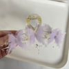 Elegant Claw Clip