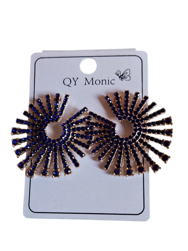 Elegant Party Earrings
