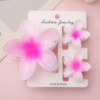 3pcs Set Claw Clip