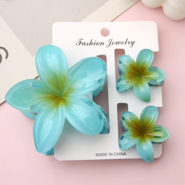 3pcs Set Claw Clip