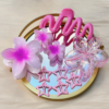 10 Pieces Hair Claw Set