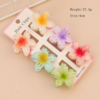 6 Pieces 4cm Set Claw Clip