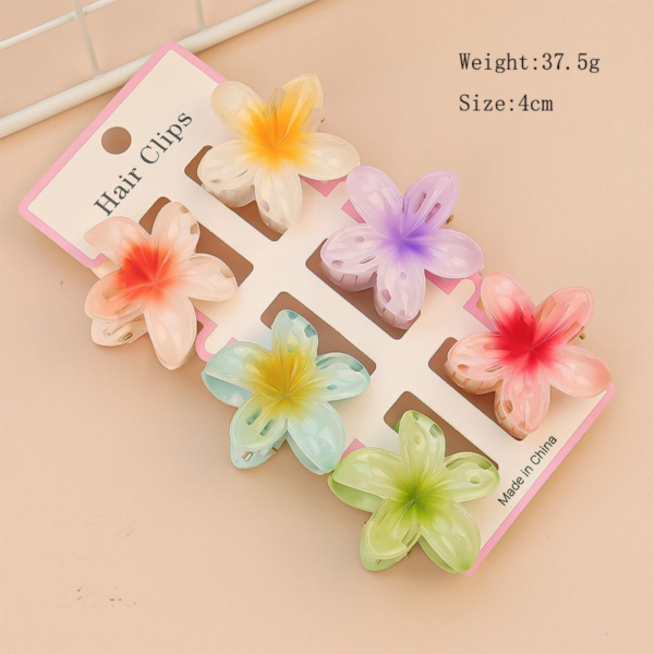 6 Pieces 4cm Set Claw Clip