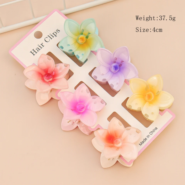 6 Pieces 4cm Set Claw Clip